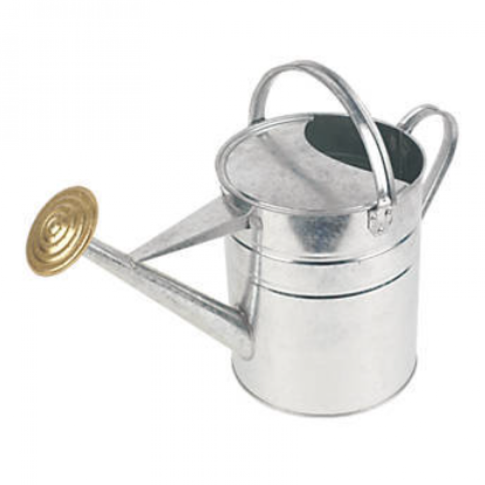 GALVANISED WATERING CAN BB